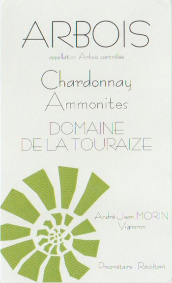 ammonites