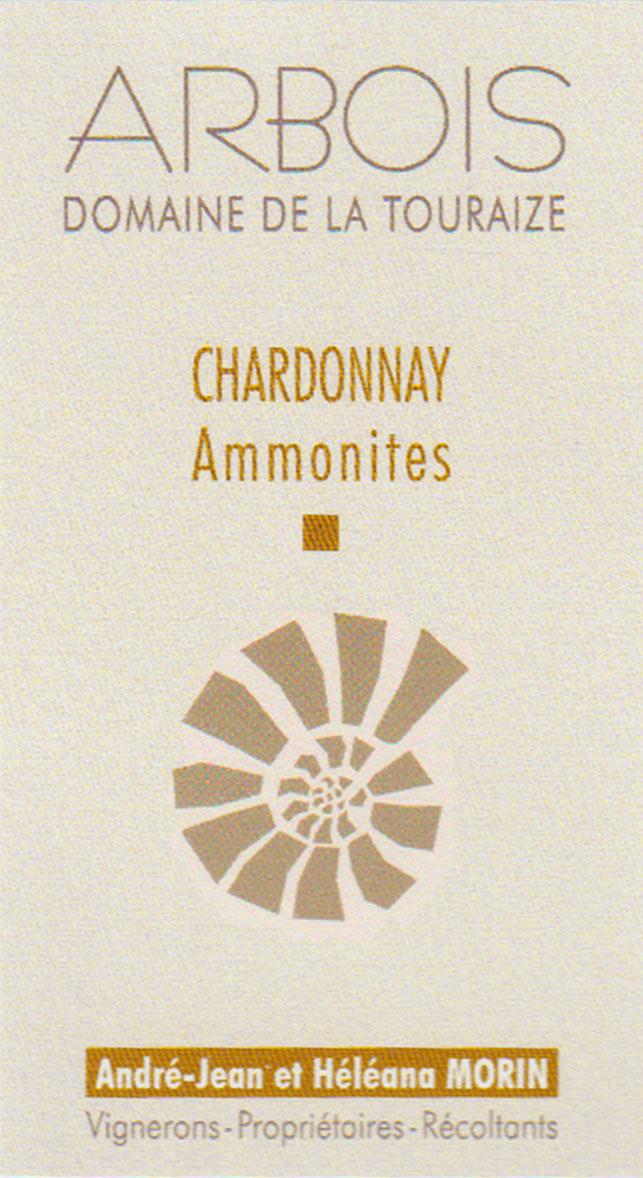 ammonite-NEW